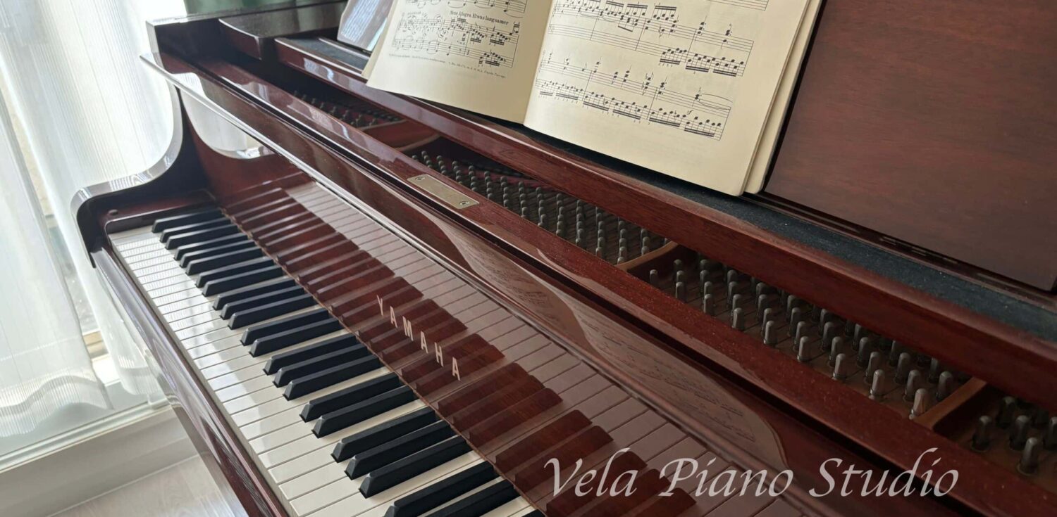 Vela Piano Studio ヴェーラ ピアノ スタジオ